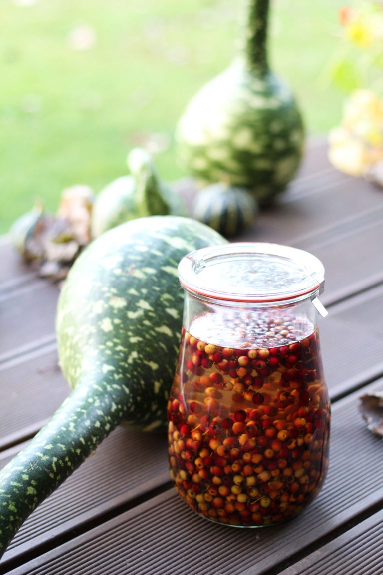 Hlohovice eZavařování.cz